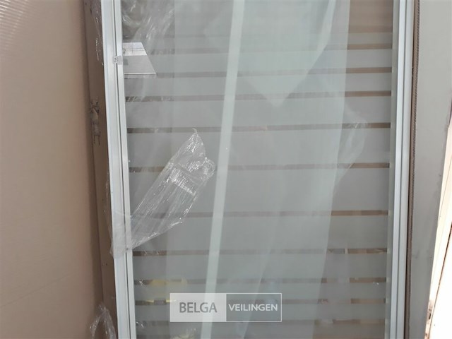 1 x draaideur voor douchebak 90 cm - afbeelding 3 van  3