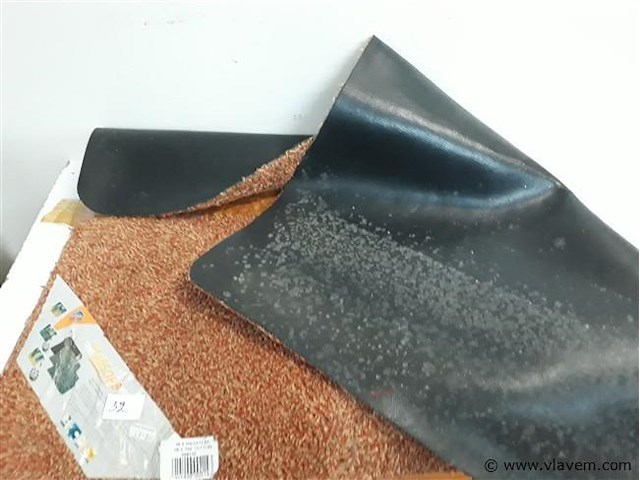 1 x droogloopmat 65x100 cm roest - afbeelding 2 van  2