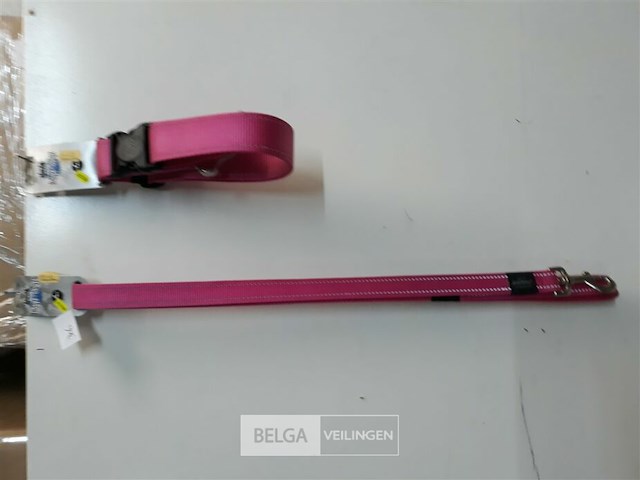 1 x hondenlijn 1,4m + halsband 50 cm roze rogz met fluo strip - afbeelding 2 van  3