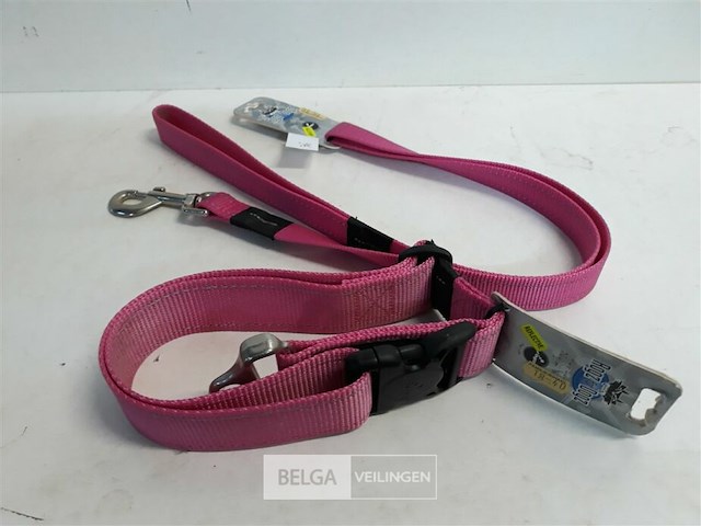 1 x hondenlijn 1,4m + halsband 50 cm roze rogz met fluo strip - afbeelding 3 van  3