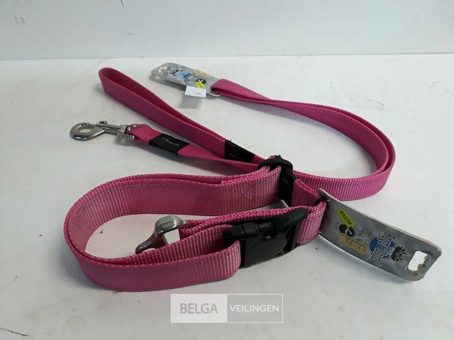 1 x hondenlijn 1,4m + halsband 50 cm roze rogz met fluo strip - afbeelding 3 van  3