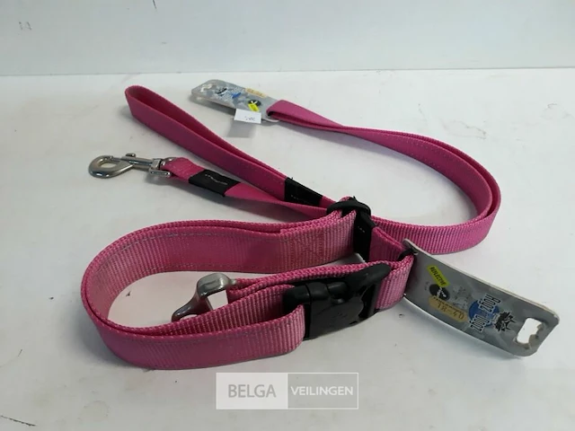 1 x hondenlijn 1,4m + halsband 50 cm roze rogz met fluo strip - afbeelding 3 van  3