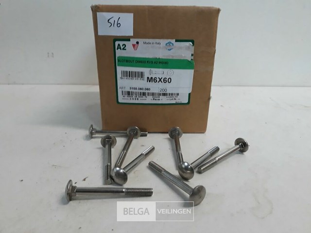 1 x houtbout inox m6x60 mm 100 stuks - afbeelding 3 van  3