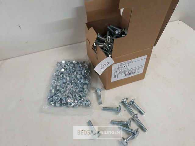 1 x houtbout met moer verzinkt m 6 x 30 mm 200 stuks - afbeelding 2 van  3
