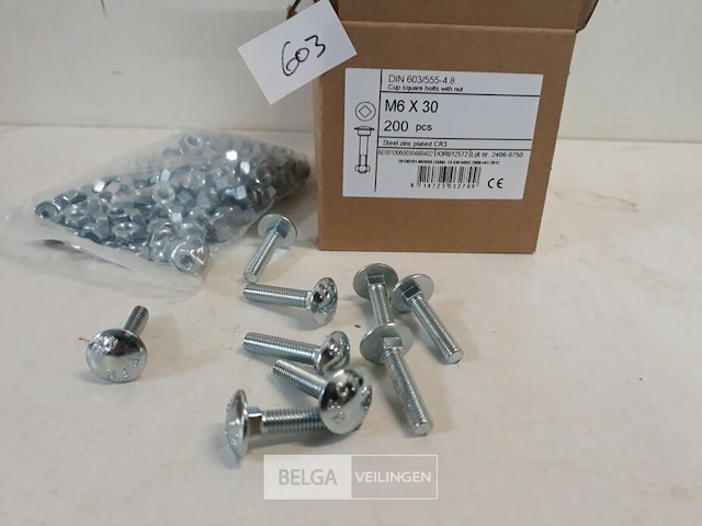1 x houtbout met moer verzinkt m 6 x 30 mm 200 stuks - afbeelding 3 van  3
