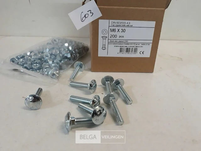 1 x houtbout met moer verzinkt m 6 x 30 mm 200 stuks - afbeelding 3 van  3