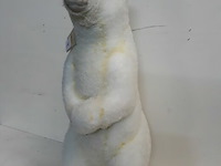 1 x ijsbeer wit 60 cm verkleurd - afbeelding 3 van  3