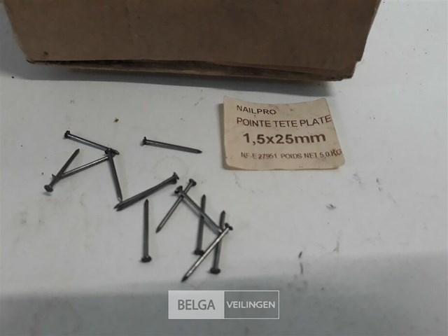 1 x nagels pk 25 mm 5 kg - afbeelding 3 van  3