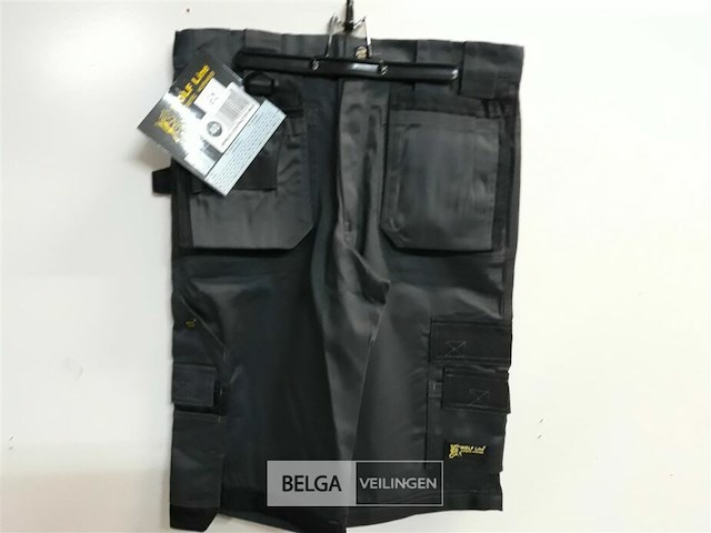 1 x short grijs wolf line 40 - afbeelding 2 van  3