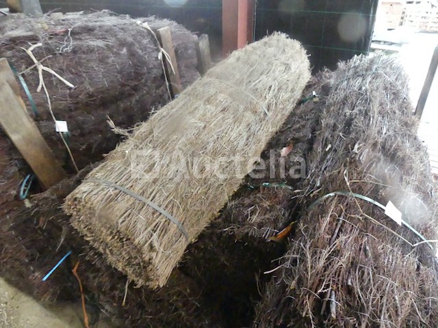 10 bries-uitzicht - afbeelding 3 van  5