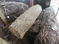 10 bries-uitzicht - afbeelding 3 van  5