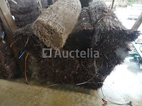 10 bries-uitzicht - afbeelding 4 van  5