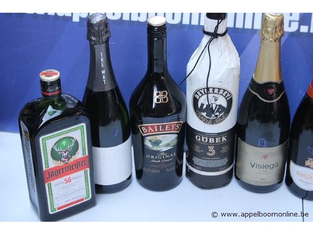 10 div flessen sterke drank, wo bailey's - afbeelding 2 van  3