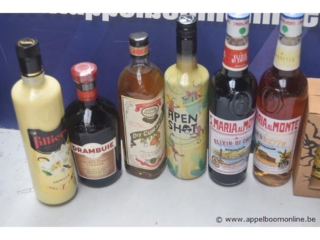 10 div flessen sterke drank, wo filliers - afbeelding 2 van  3