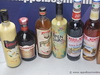 10 div flessen sterke drank, wo filliers - afbeelding 2 van  3