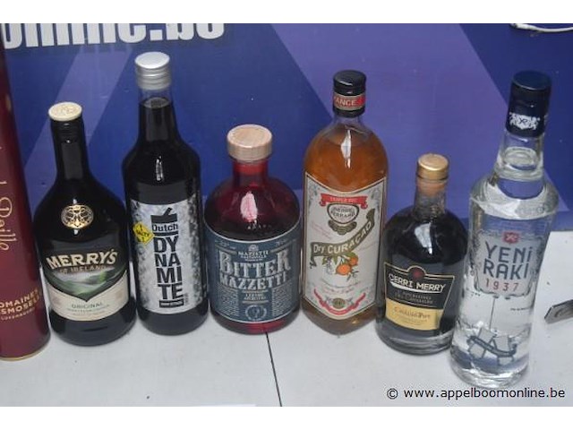 10 div flessen sterke drank, wo jagermeister - afbeelding 2 van  3
