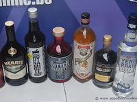 10 div flessen sterke drank, wo jagermeister - afbeelding 2 van  3