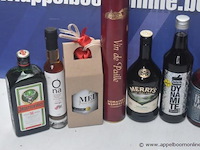 10 div flessen sterke drank, wo jagermeister - afbeelding 3 van  3