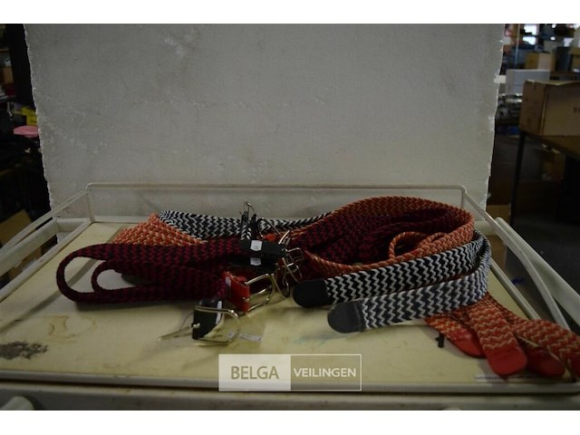 ±10 div riemen - afbeelding 1 van  3