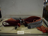 ±10 div riemen - afbeelding 1 van  3