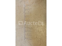 10 duifbeschermers - afbeelding 4 van  5