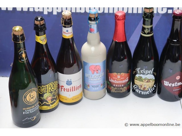 10 grote flessen diverse bier - afbeelding 3 van  3