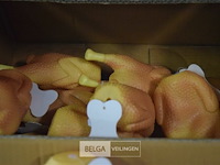 ±10 kippen honden speeltjes - afbeelding 3 van  3