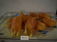 ±10 kippen honden speeltjes - afbeelding 1 van  3