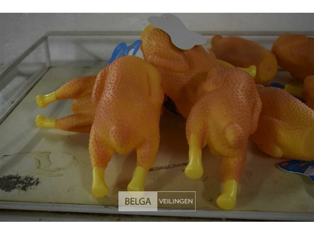 ±10 kippen honden speeltjes - afbeelding 2 van  3