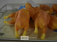 ±10 kippen honden speeltjes - afbeelding 2 van  3