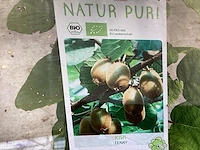 10 kiwi mix