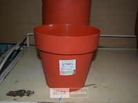 10 plastieken bloempotten - afbeelding 1 van  2