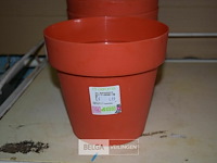 10 plastieken bloempotten - afbeelding 2 van  2