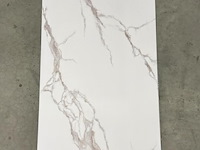 10 pvc wandpanelen