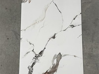 10 pvc wandpanelen