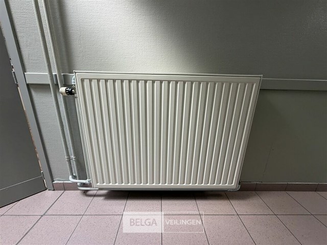 ± 10 radiatoren - afbeelding 2 van  5