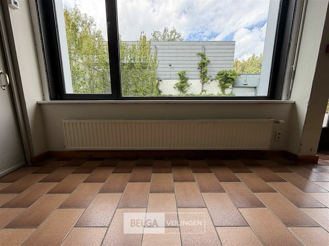 ± 10 radiatoren - afbeelding 3 van  5