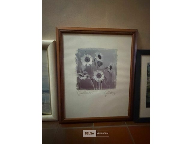 ± 10 schilderijen - afbeelding 3 van  6