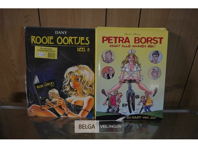 ±10 stripverhalen; petra borst - afbeelding 1 van  3