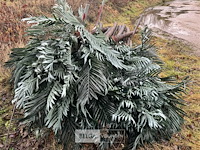 ± 10 stuks kunst palmbomen - afbeelding 5 van  10