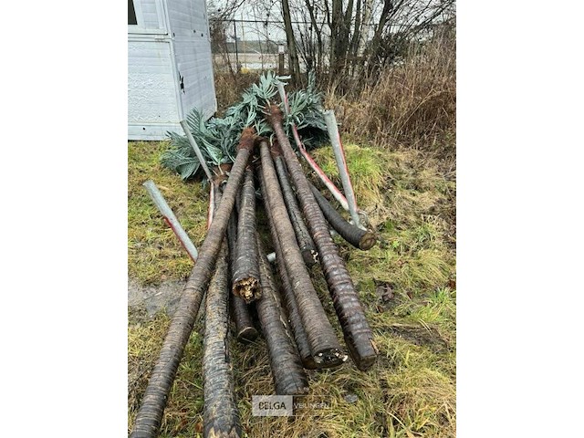 ± 10 stuks kunst palmbomen - afbeelding 6 van  10