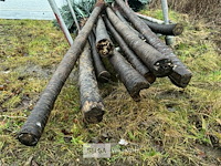 ± 10 stuks kunst palmbomen - afbeelding 7 van  10