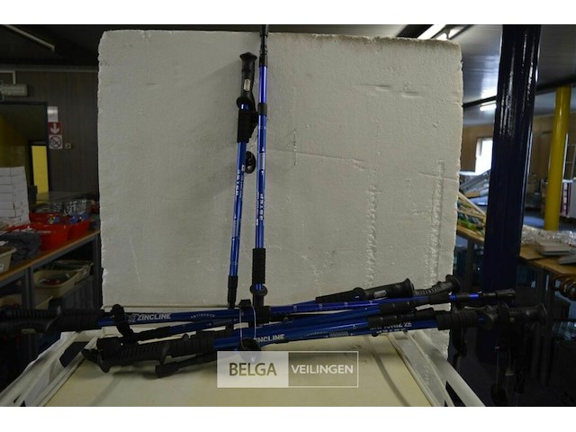 10 telescopische 3step wandelstokken - afbeelding 1 van  3