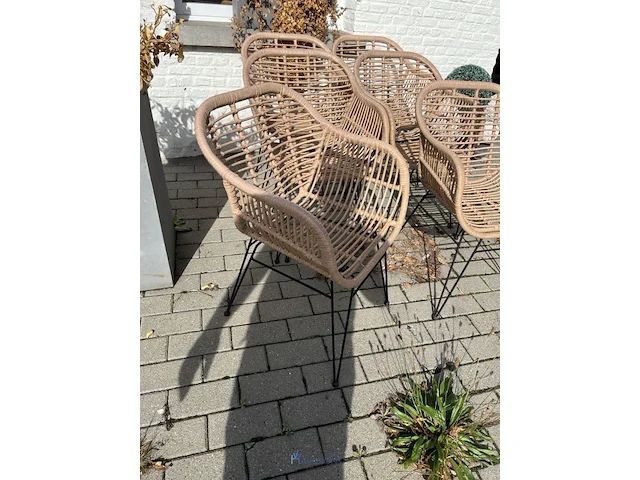 10 terrasstoelen - afbeelding 7 van  8
