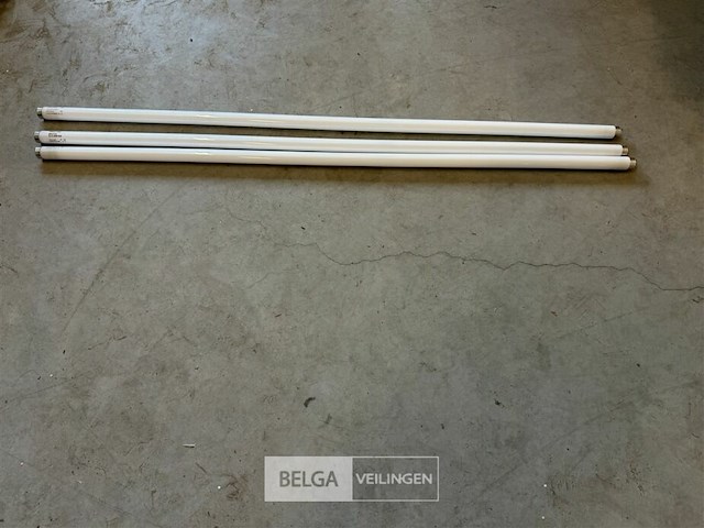 ± 10 tl-lampen - afbeelding 2 van  3