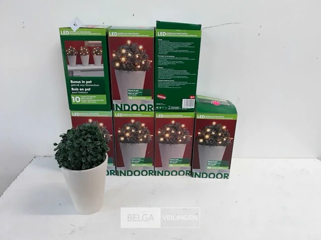 10 x buxusbol in pot met 10 led lampjes - afbeelding 1 van  3