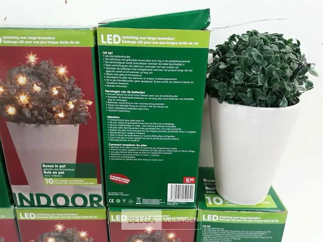 10 x buxusbol in pot met 10 led lampjes - afbeelding 3 van  3