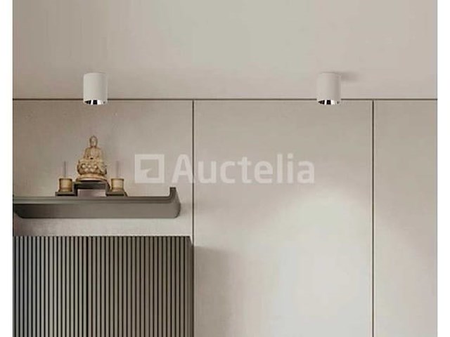 10 x downlight fitting – opbouwarmatuur – gu10 – cilindrisch – wit/bruin - afbeelding 1 van  3