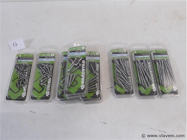 10 x schroeven inox in blisterverpakking mix - afbeelding 1 van  2