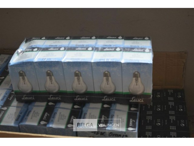 ±100 lampen 15w - afbeelding 2 van  3
